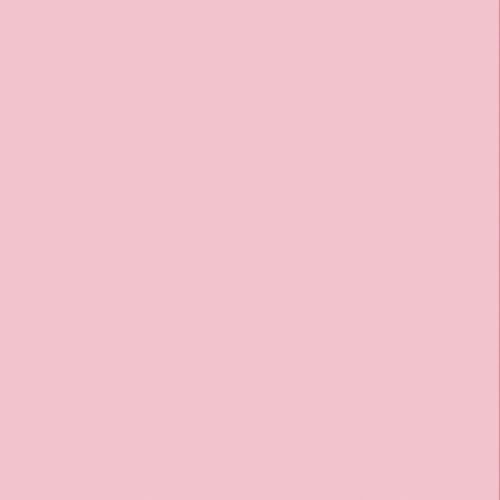 manna-sobre-mi-rosa